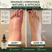 DRAINANT LYMPHATIQUE