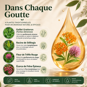 DRAINANT LYMPHATIQUE